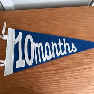 Blue and White Monthly Milestone Felt Pennant Banner